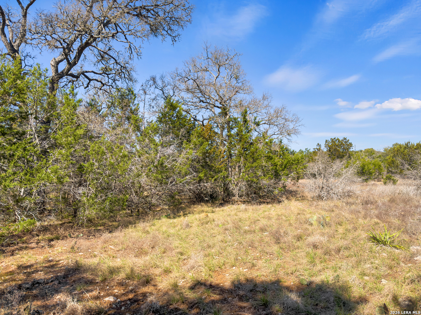 535 Left Fork Place Spring Branch TX 78070