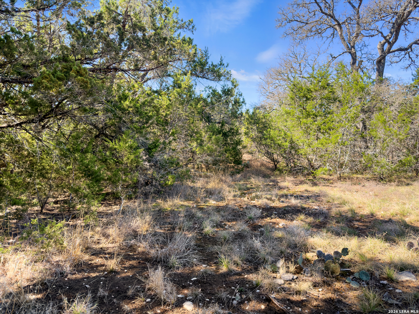 535 Left Fork Place Spring Branch TX 78070