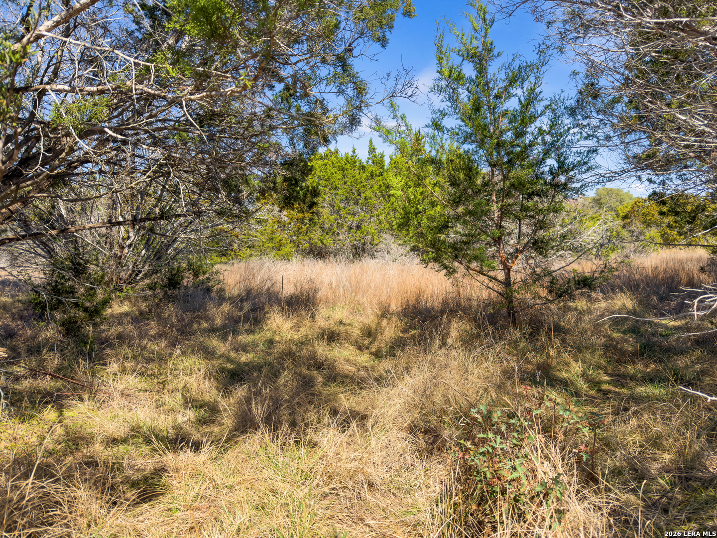 535 Left Fork Place Spring Branch TX 78070