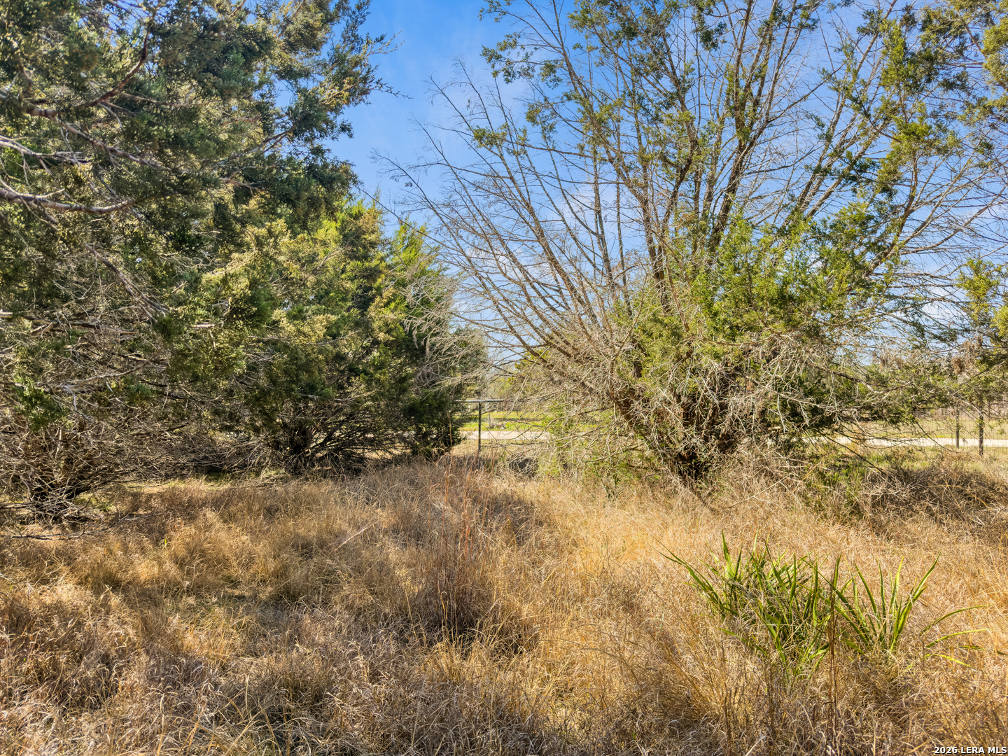 535 Left Fork Place Spring Branch TX 78070