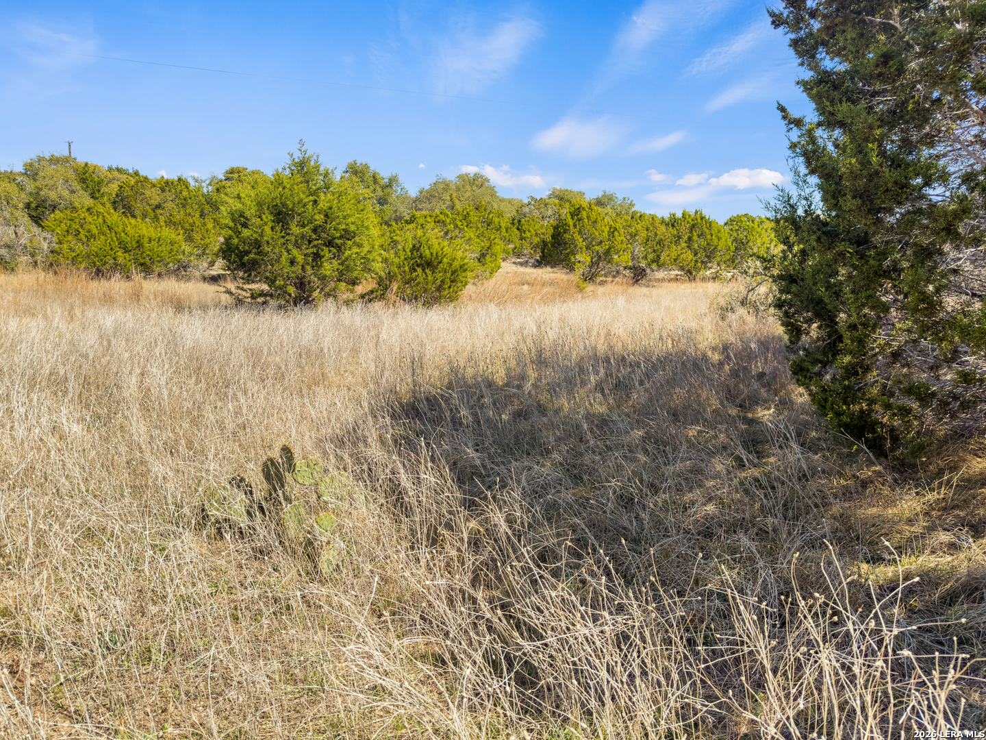 535 Left Fork Place Spring Branch TX 78070