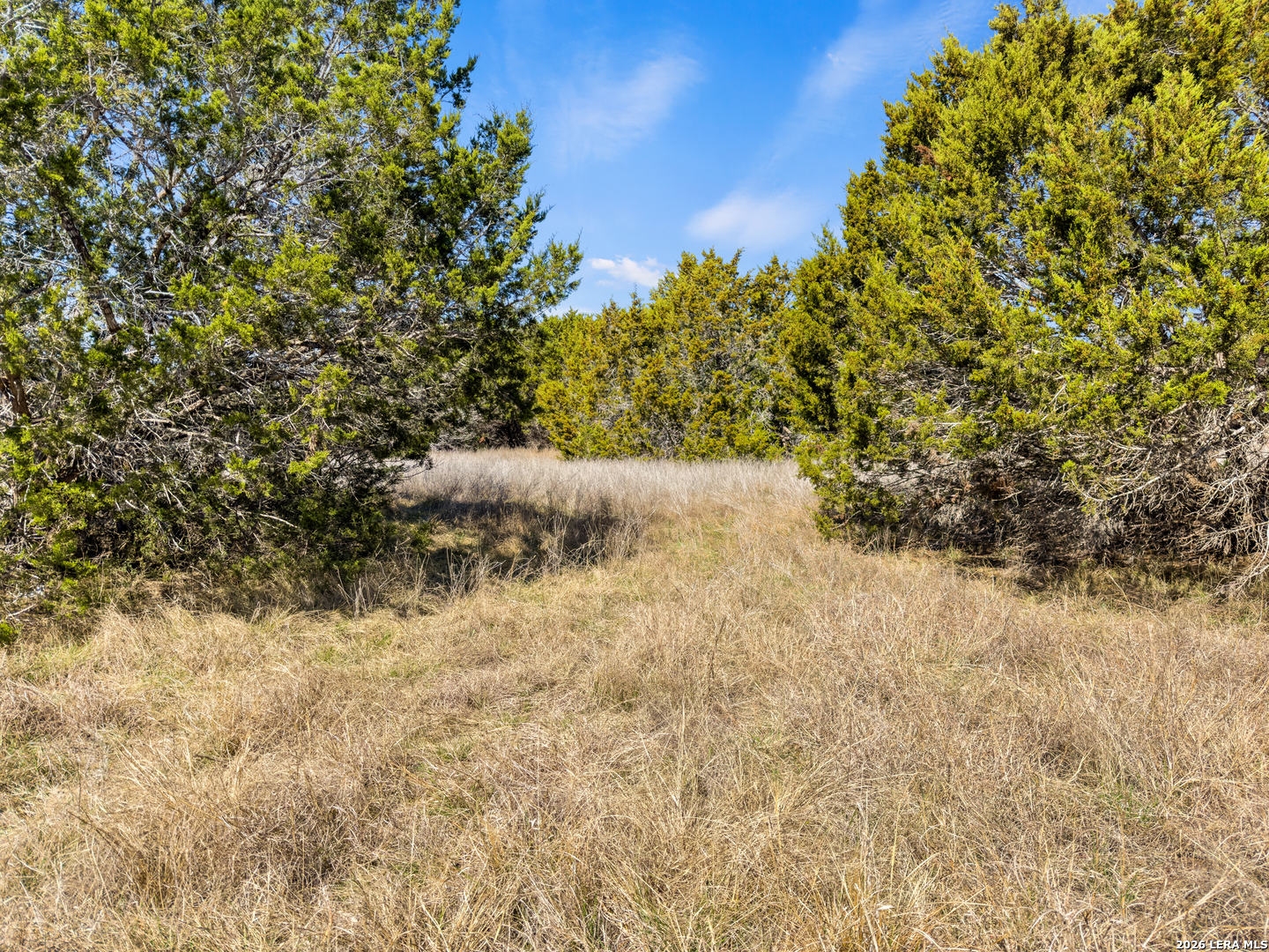535 Left Fork Place Spring Branch TX 78070