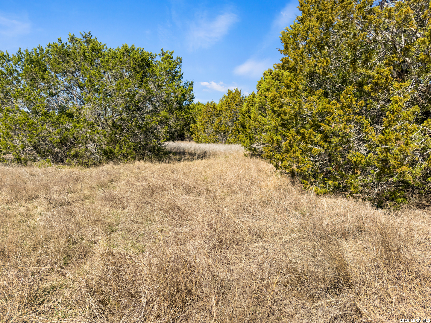 535 Left Fork Place Spring Branch TX 78070