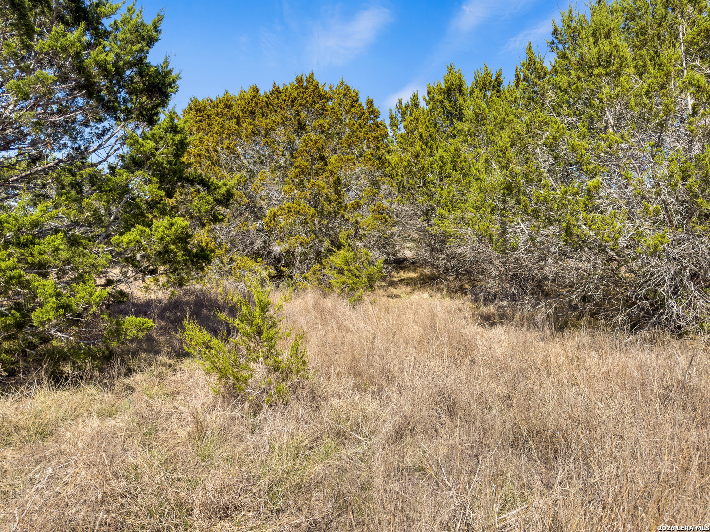 535 Left Fork Place Spring Branch TX 78070