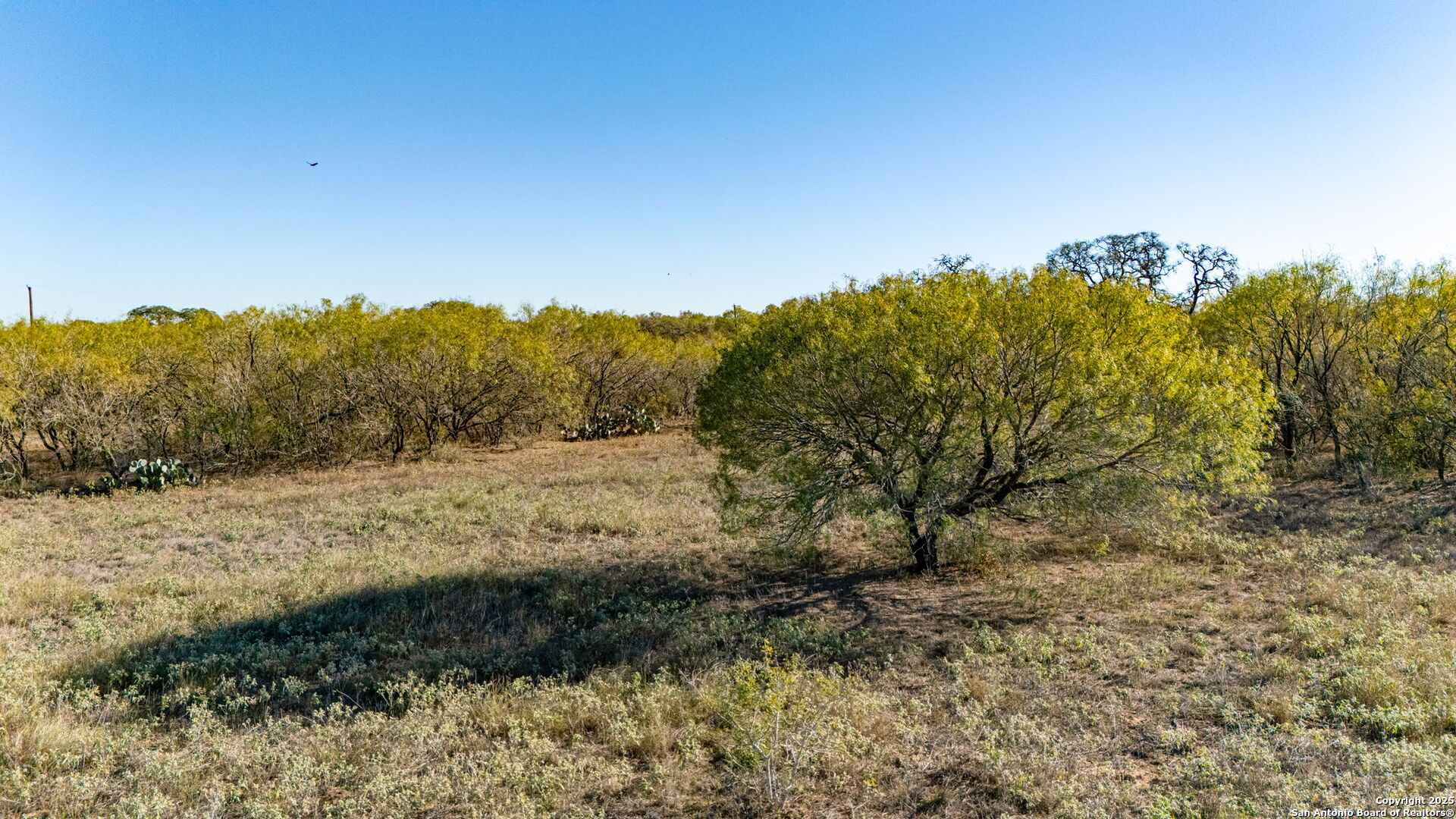 13710 Us Highway 87 Adkins TX 78101