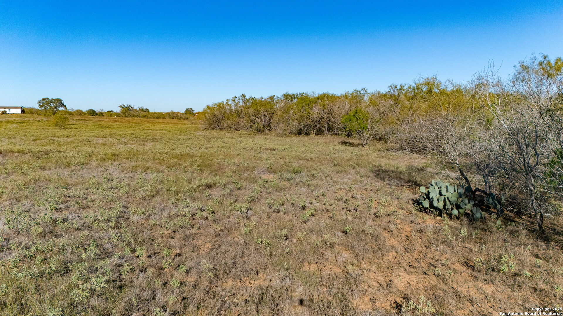 13710 Us Highway 87 Adkins TX 78101