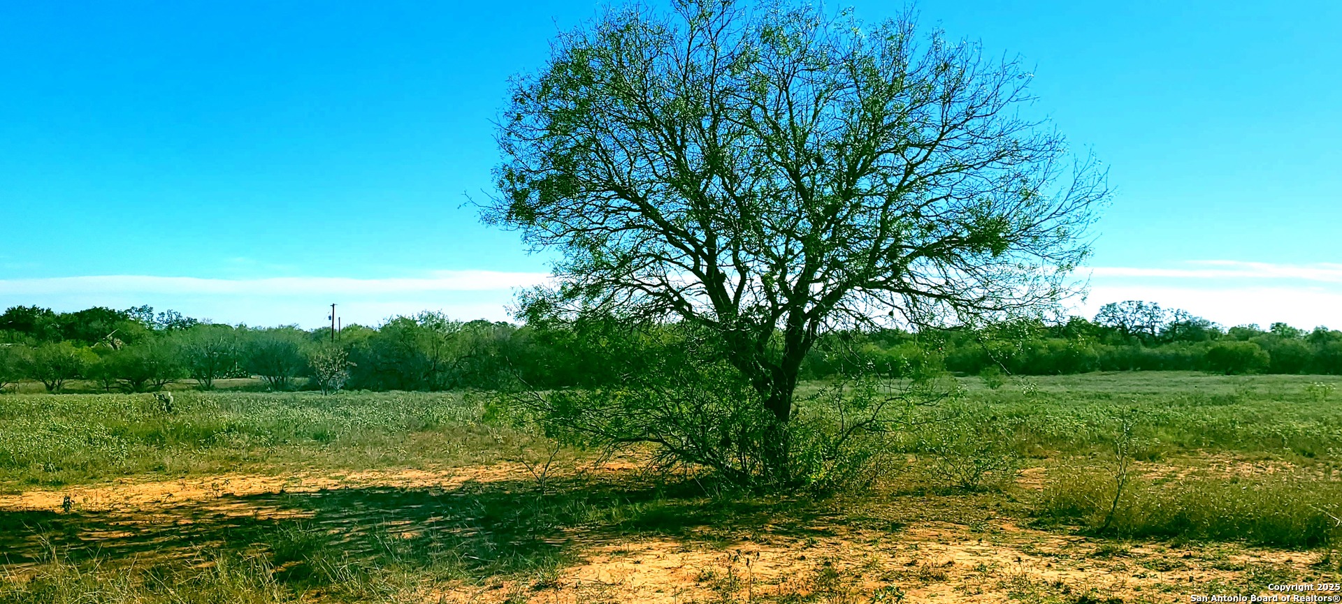 13710 Us Highway 87 Adkins TX 78101
