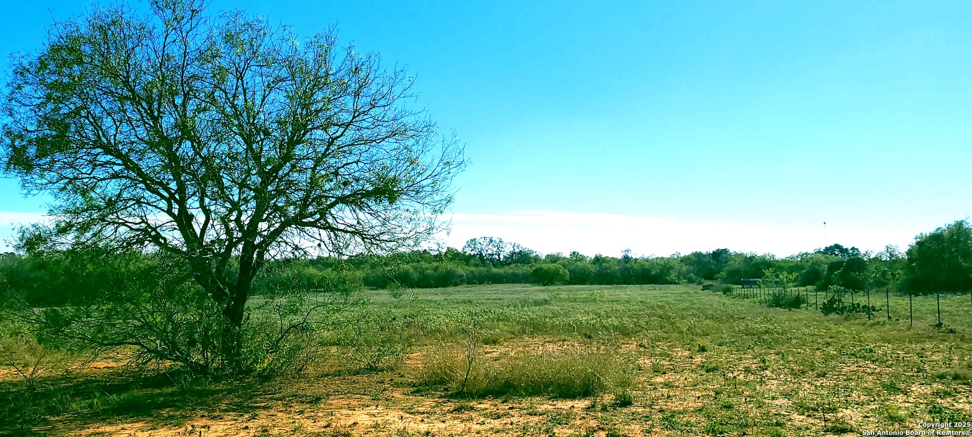 13710 Us Highway 87 Adkins TX 78101
