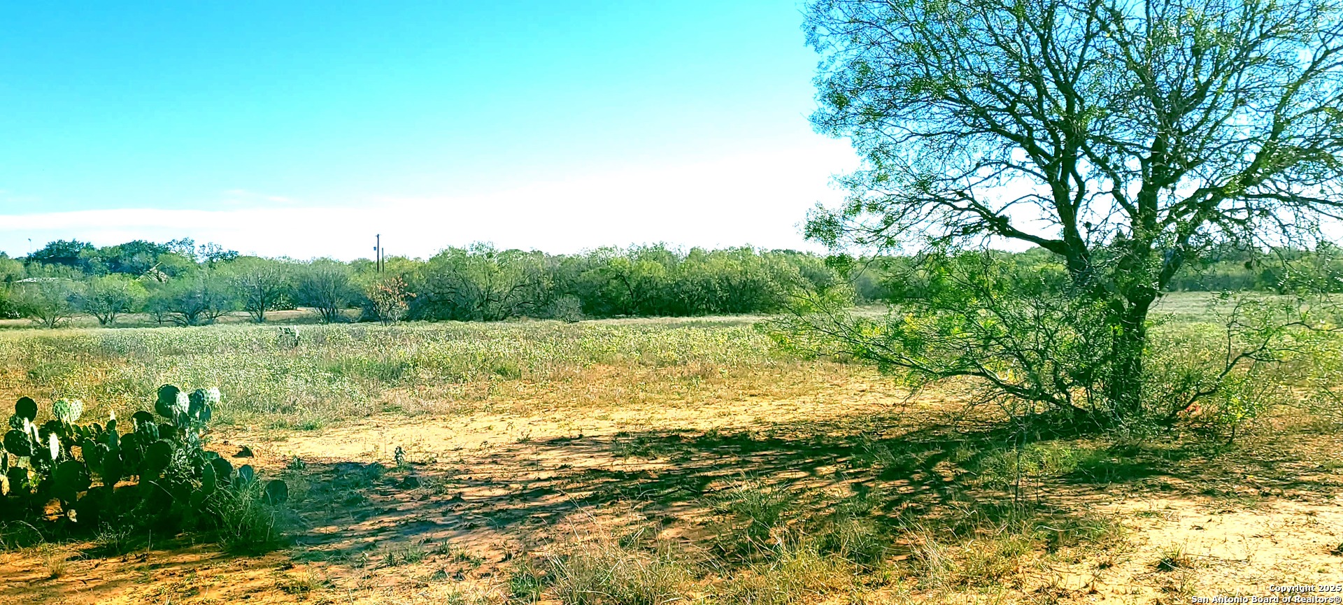 13710 Us Highway 87 Adkins TX 78101