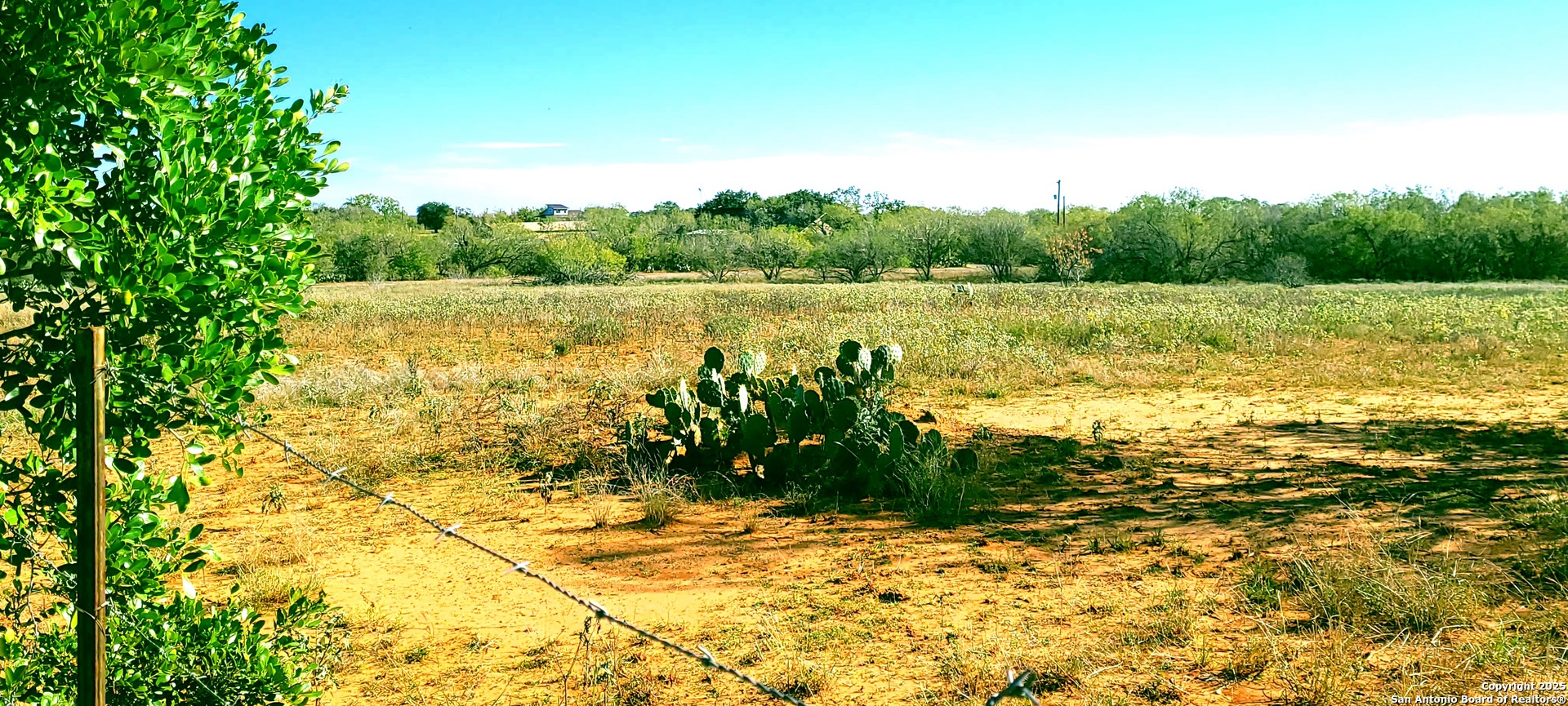 13710 Us Highway 87 Adkins TX 78101