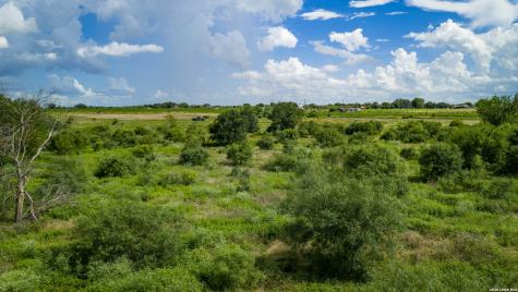 173401 Fargoer Marion TX 78124