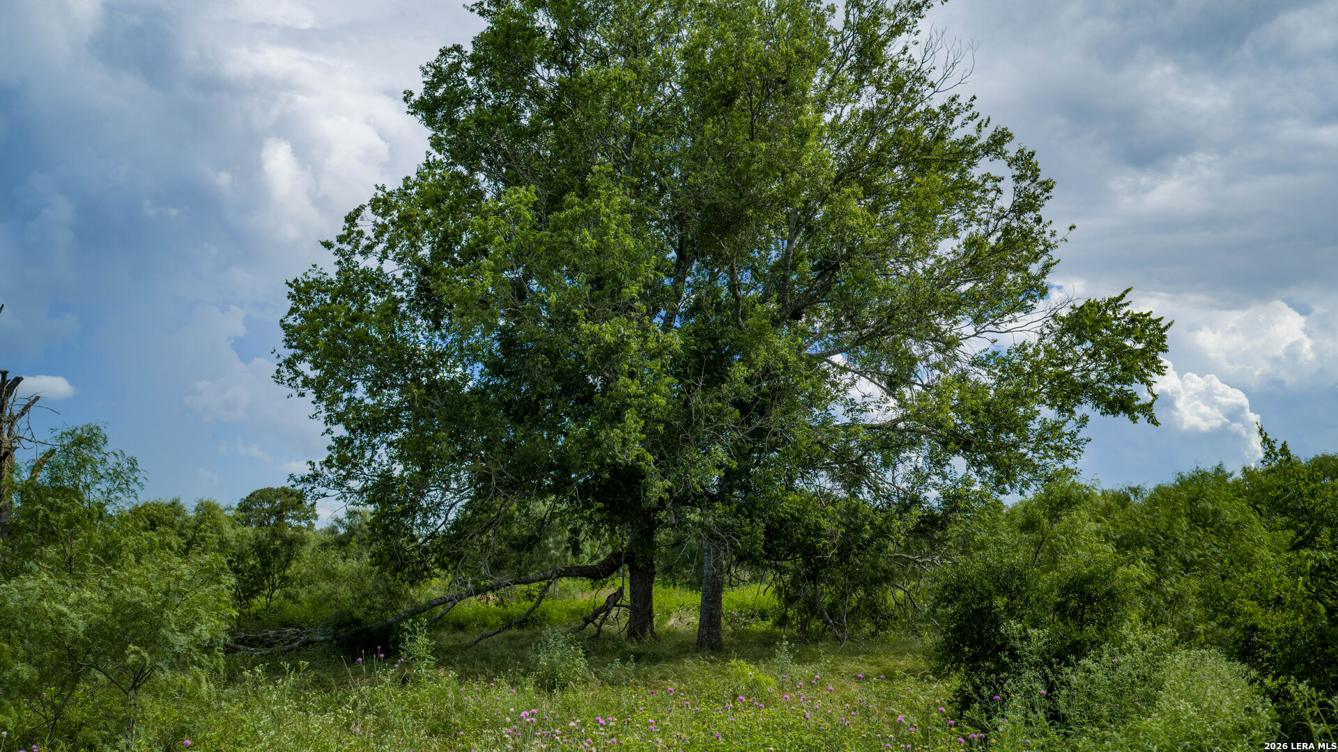 173401 Fargoer Marion TX 78124