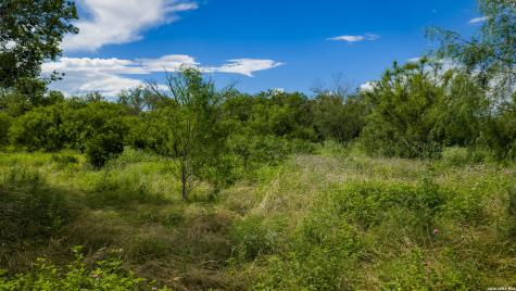 173401 Fargoer Marion TX 78124