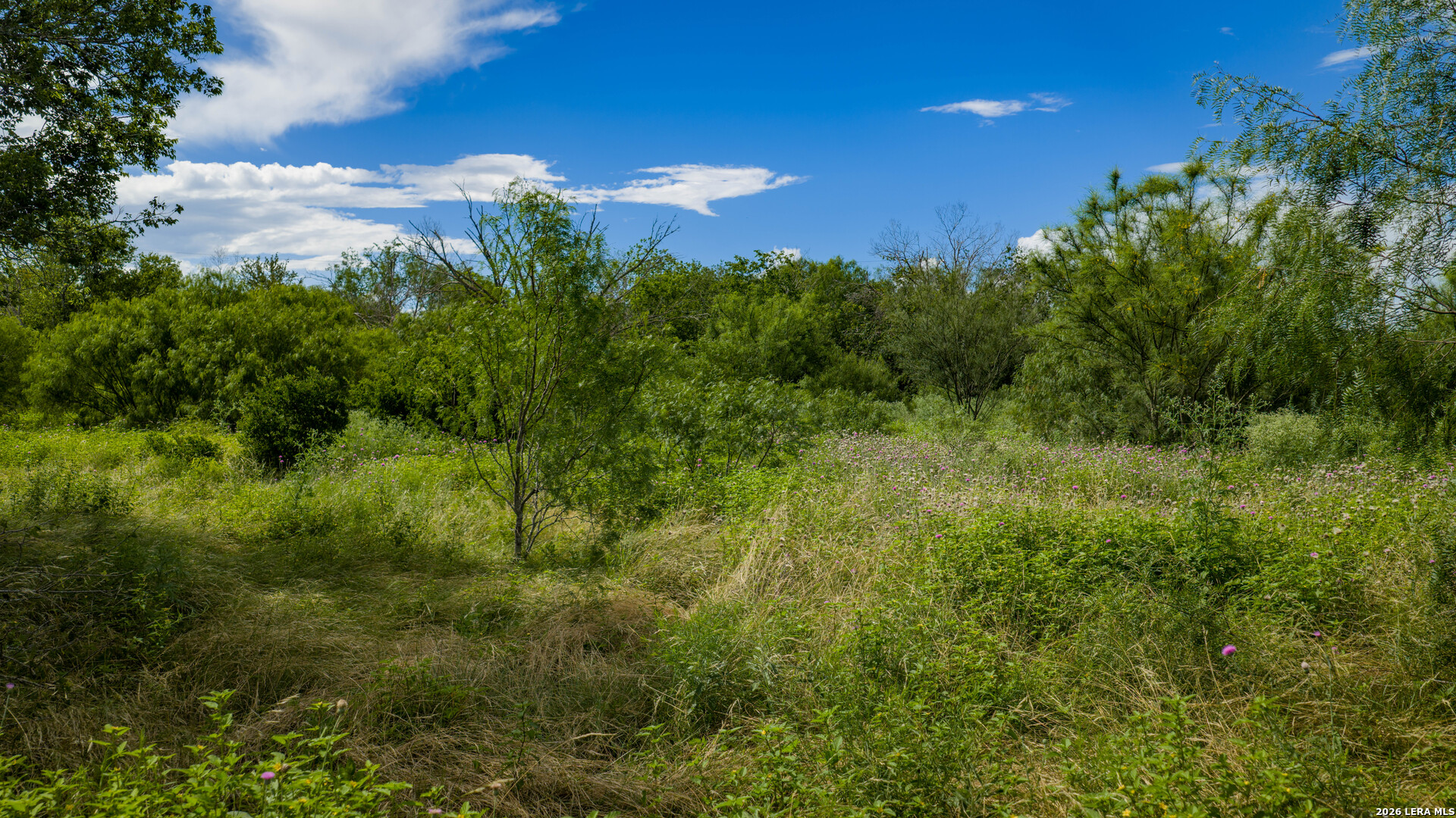 173401 Fargoer Marion TX 78124