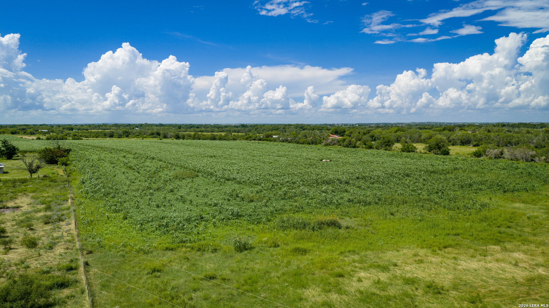 173401 Fargoer Marion TX 78124