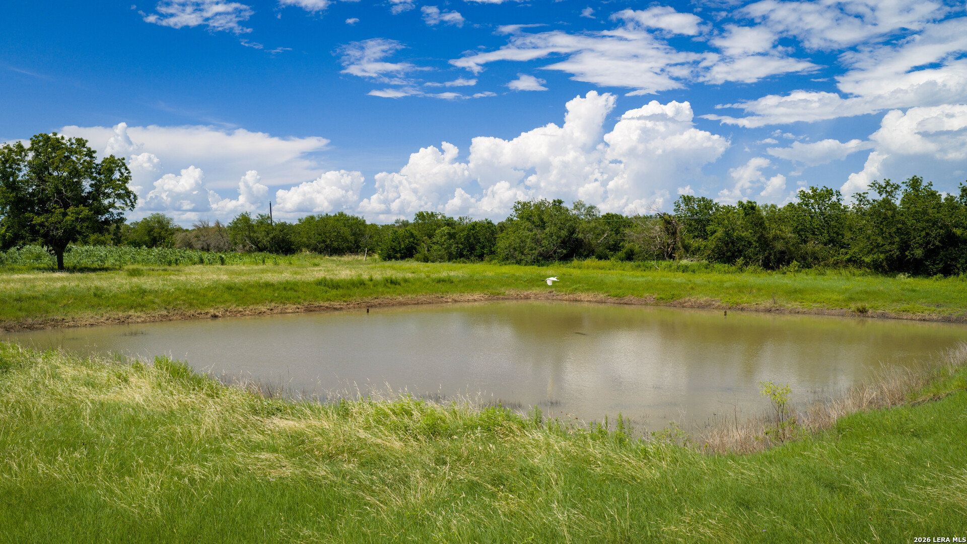 173401 Fargoer Marion TX 78124