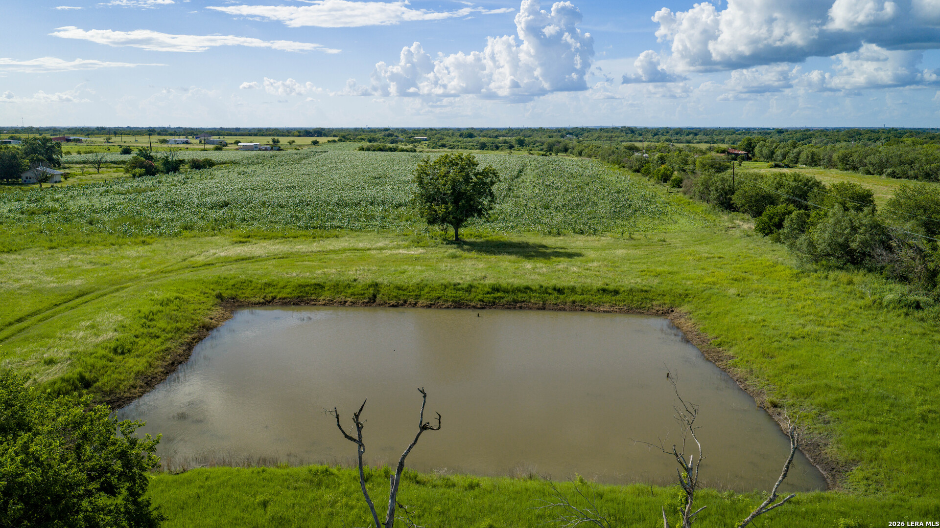 173401 Fargoer Marion TX 78124