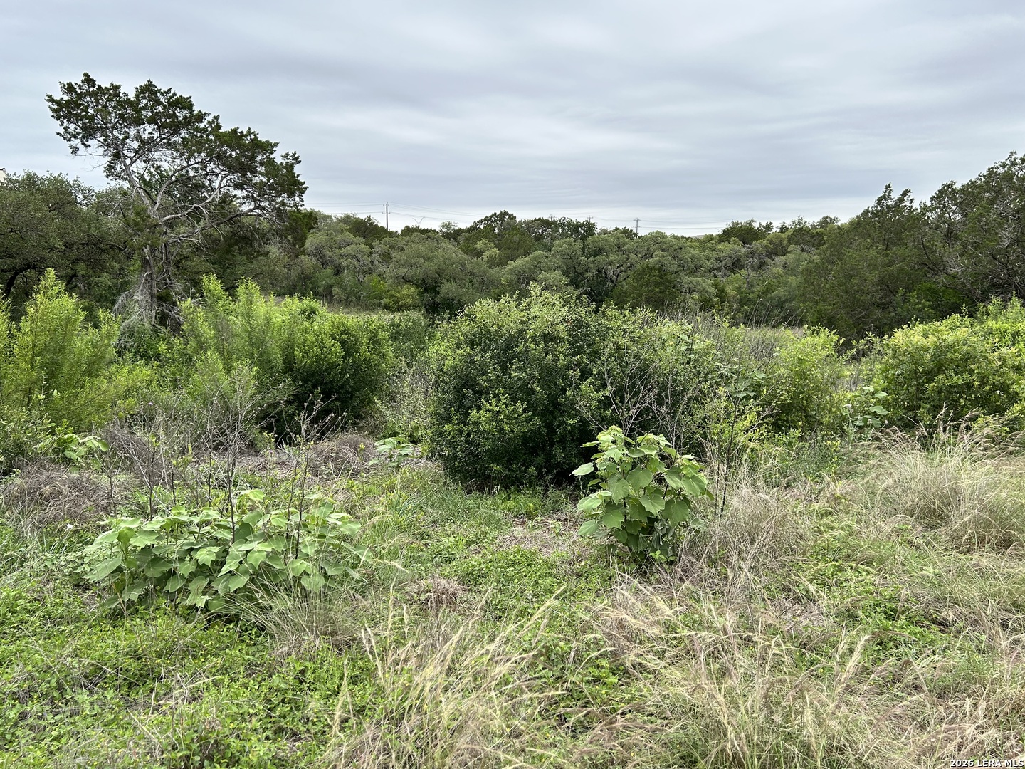 3726 Summer Breeze Lane San Antonio TX 78253