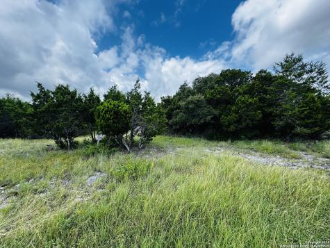 317 Cr Road 273 Mico TX 78056