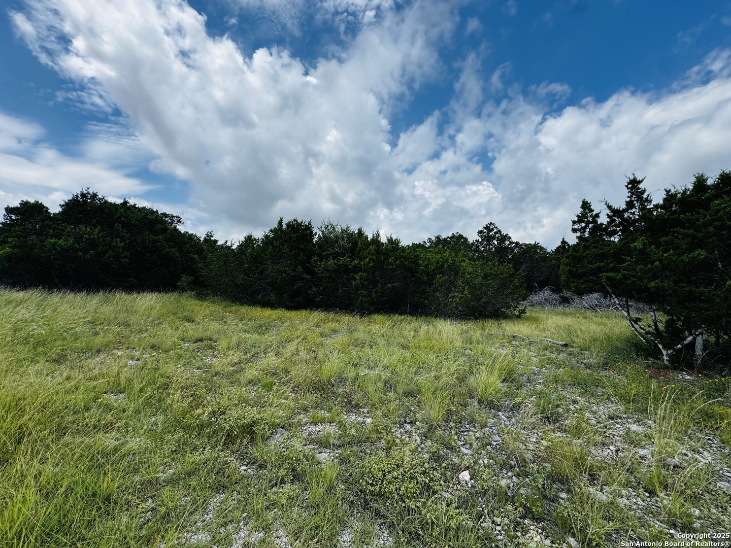317 Cr Road 273 Mico TX 78056