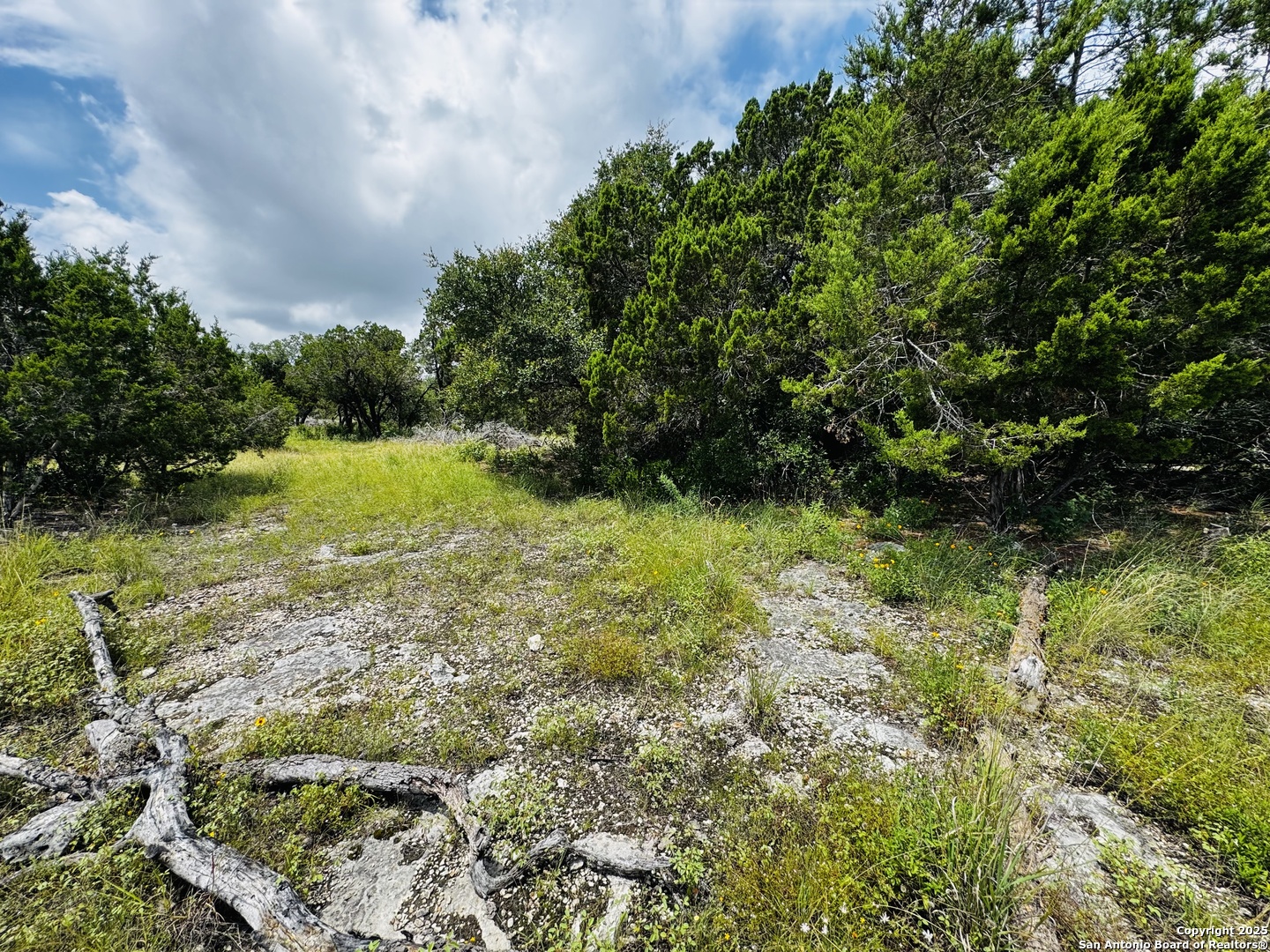 317 Cr Road 273 Mico TX 78056