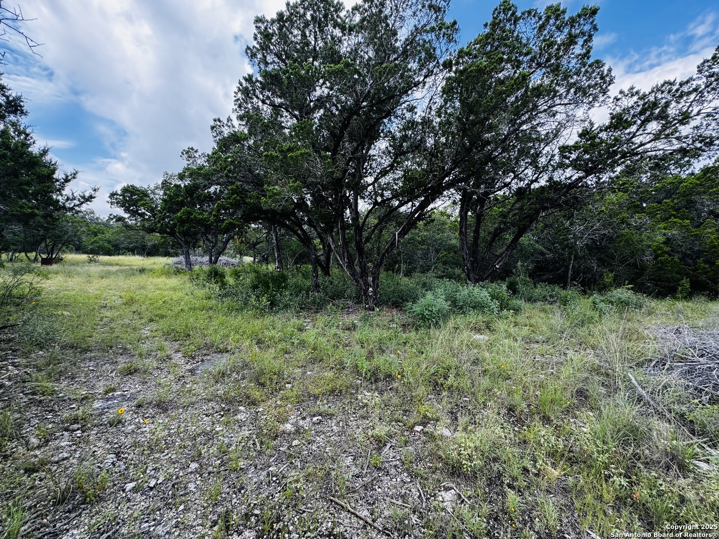 317 Cr Road 273 Mico TX 78056