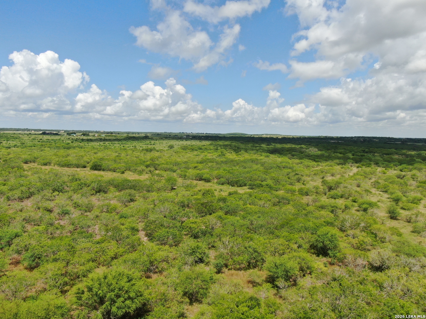 Tbd Lot 6 Cr 208 Hobson TX 78117