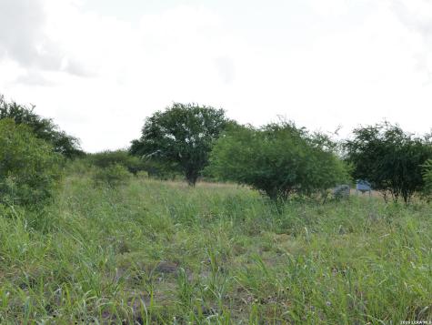 Tbd Lot 6 Cr 208 Hobson TX 78117