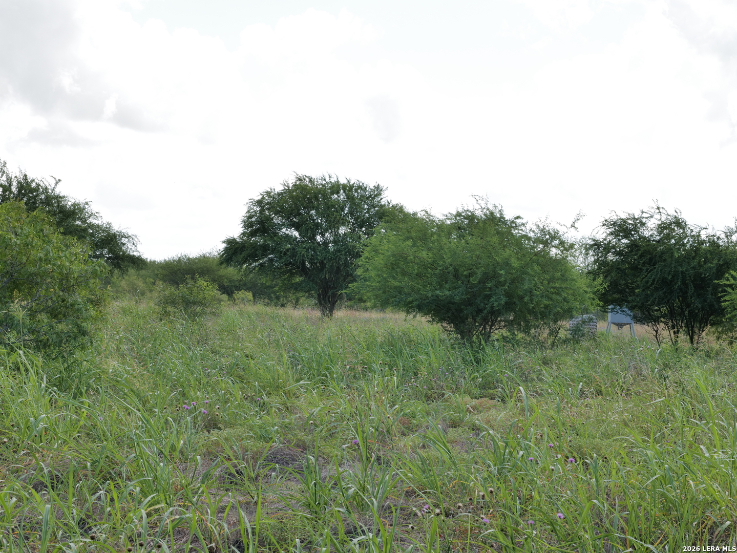 Tbd Lot 6 Cr 208 Hobson TX 78117