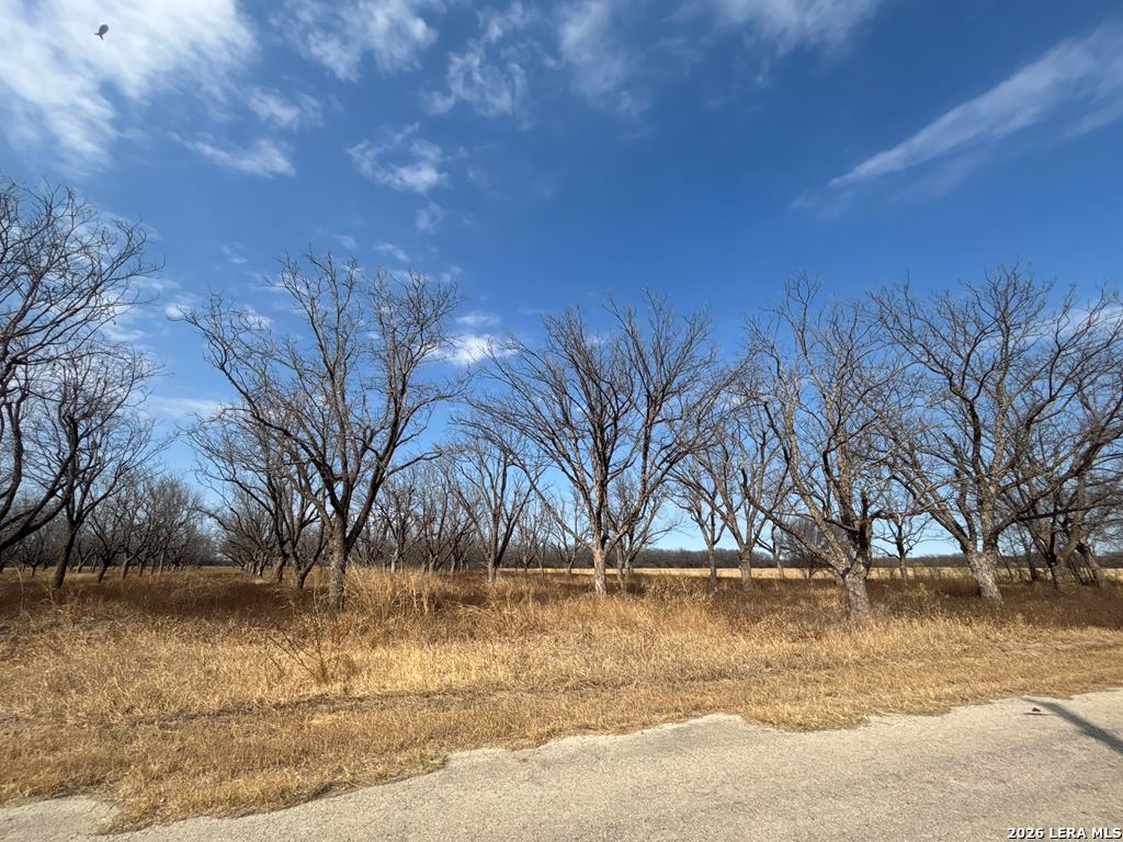 330 Stockley Road Quemado TX 78877