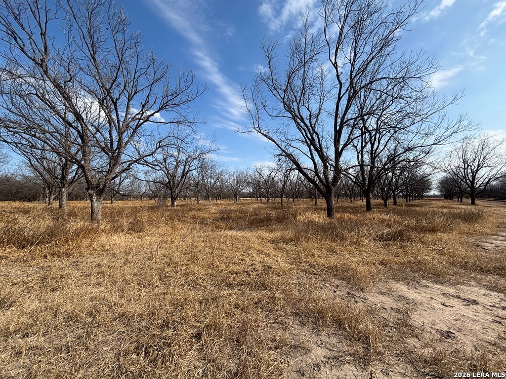 330 Stockley Road Quemado TX 78877