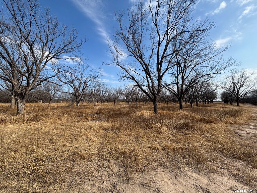 330 Stockley Road Quemado TX 78877