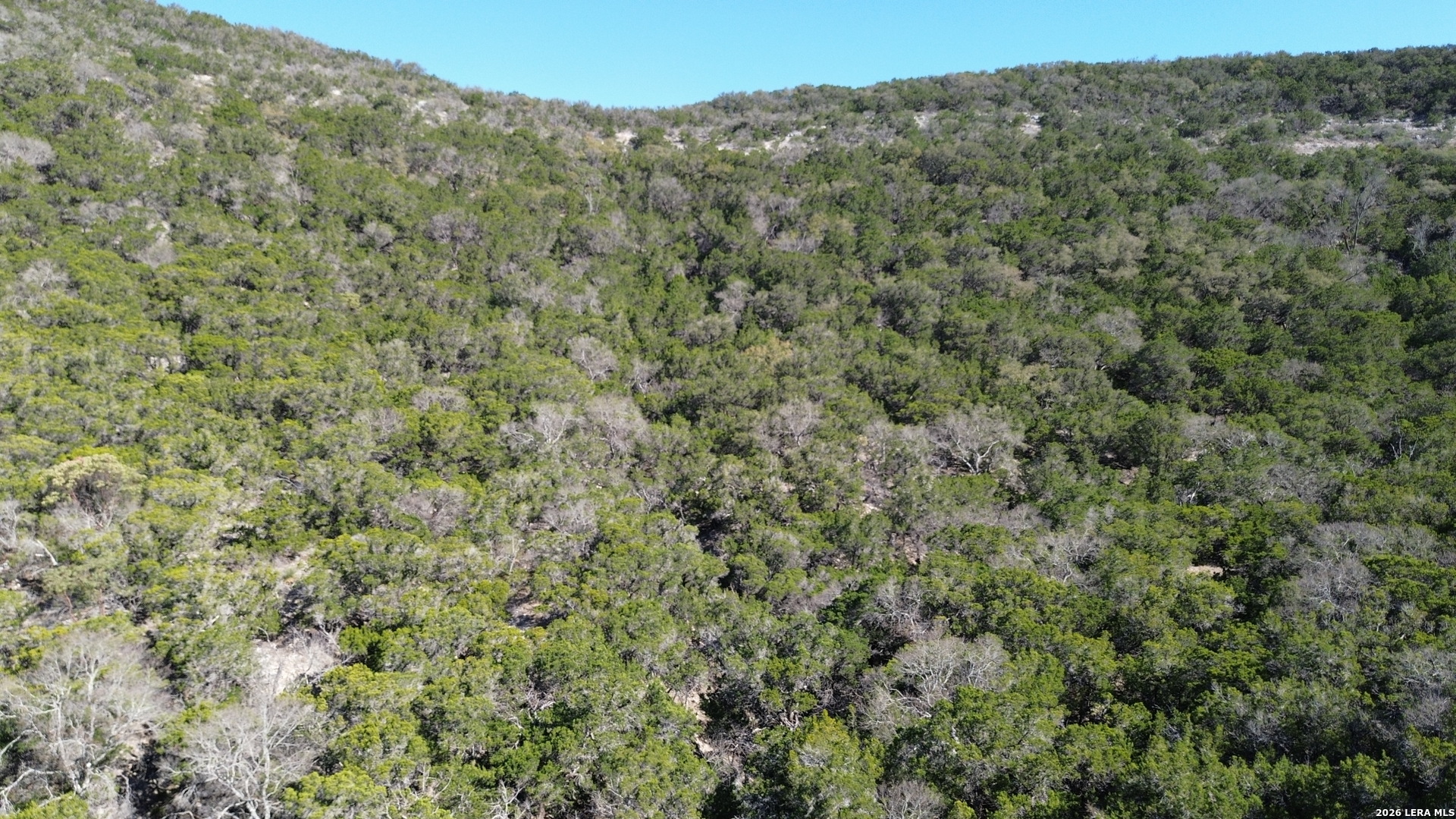 Tbd Walker Ridge Tarpley TX 78883