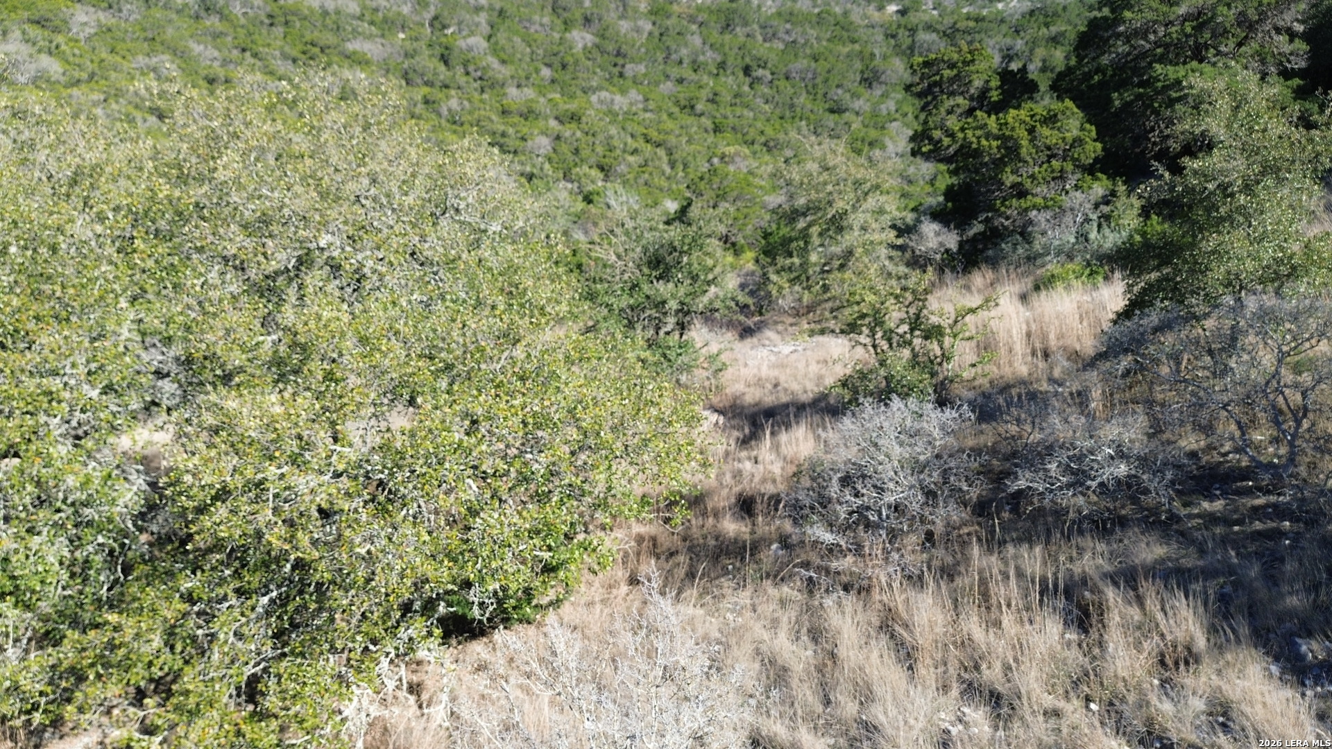 Tbd Walker Ridge Tarpley TX 78883