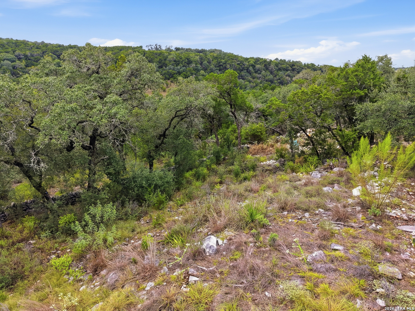 1417 Powder Ridge Road New Braunfels TX 78132