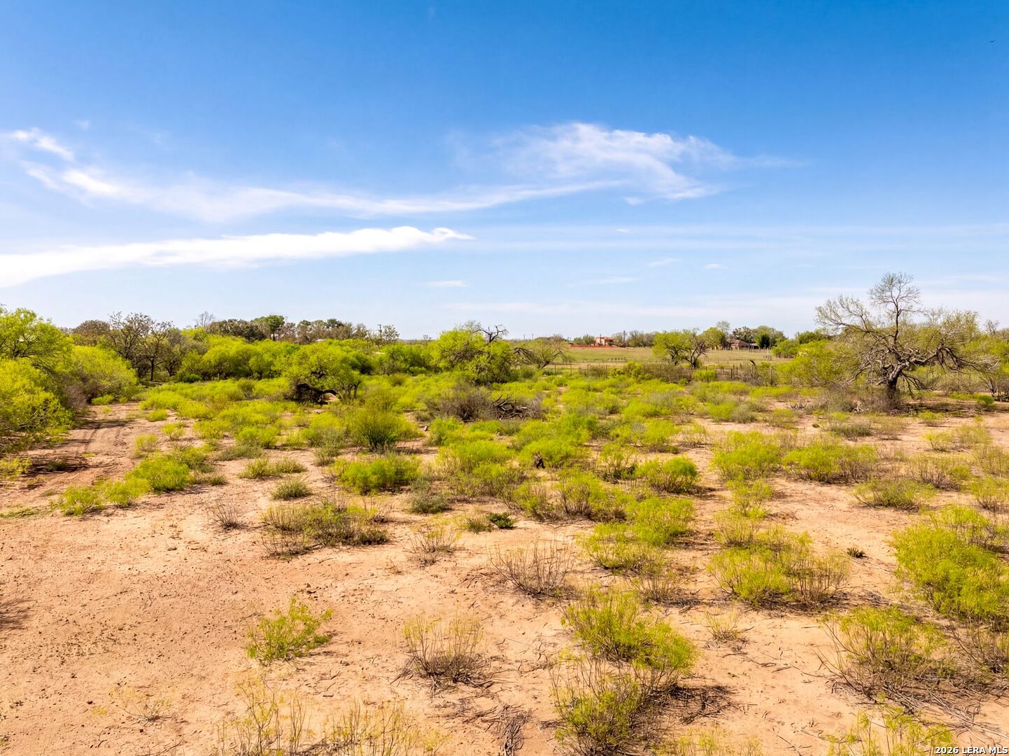 4246 Rakowitz Road Adkins TX 78101