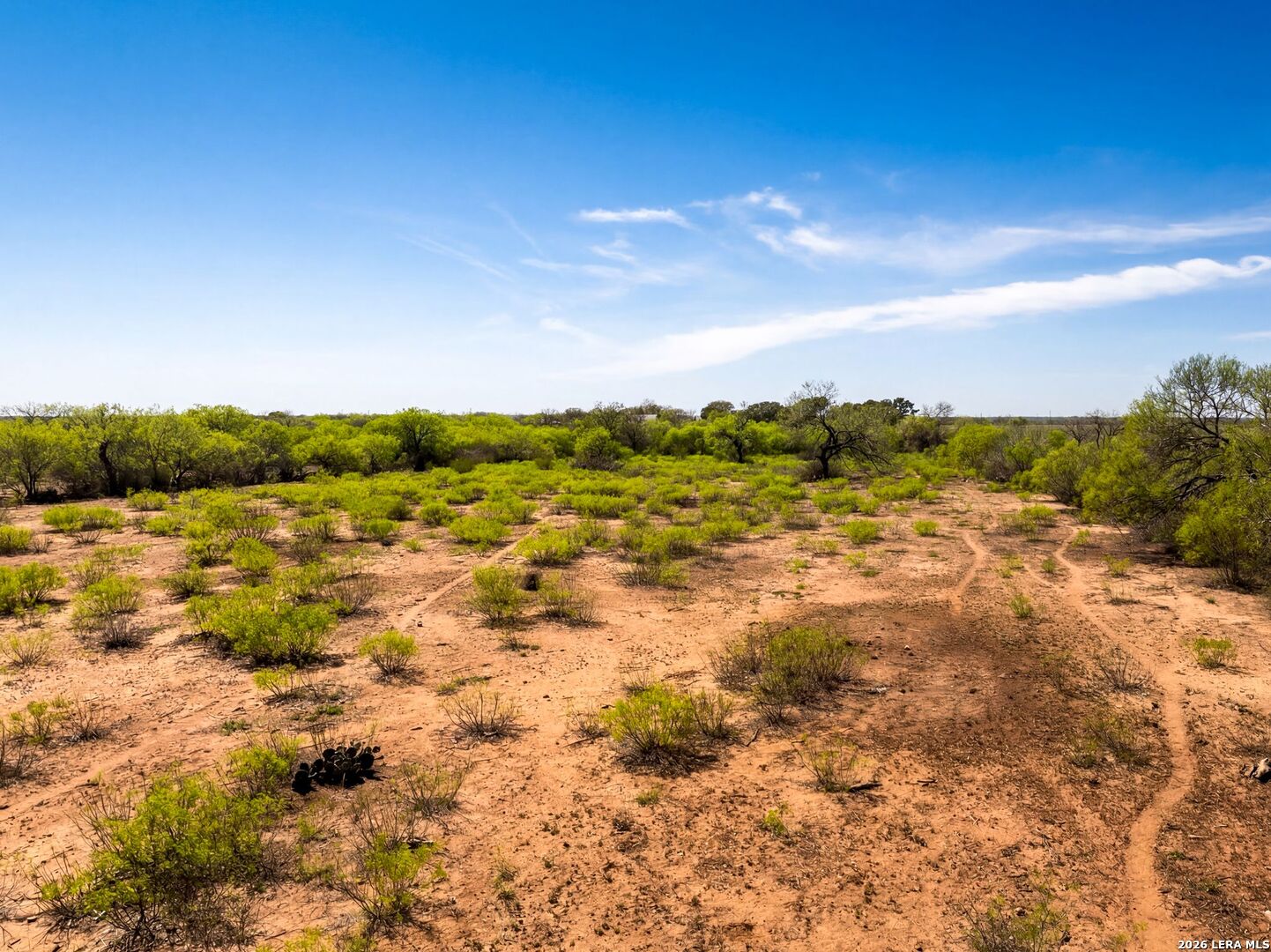 4246 Rakowitz Road Adkins TX 78101