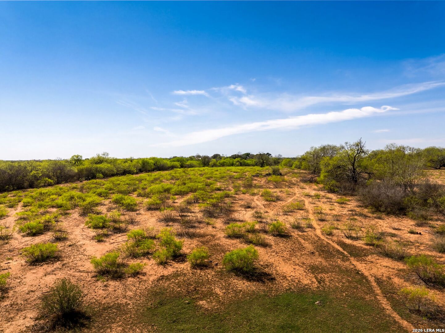 4246 Rakowitz Road Adkins TX 78101