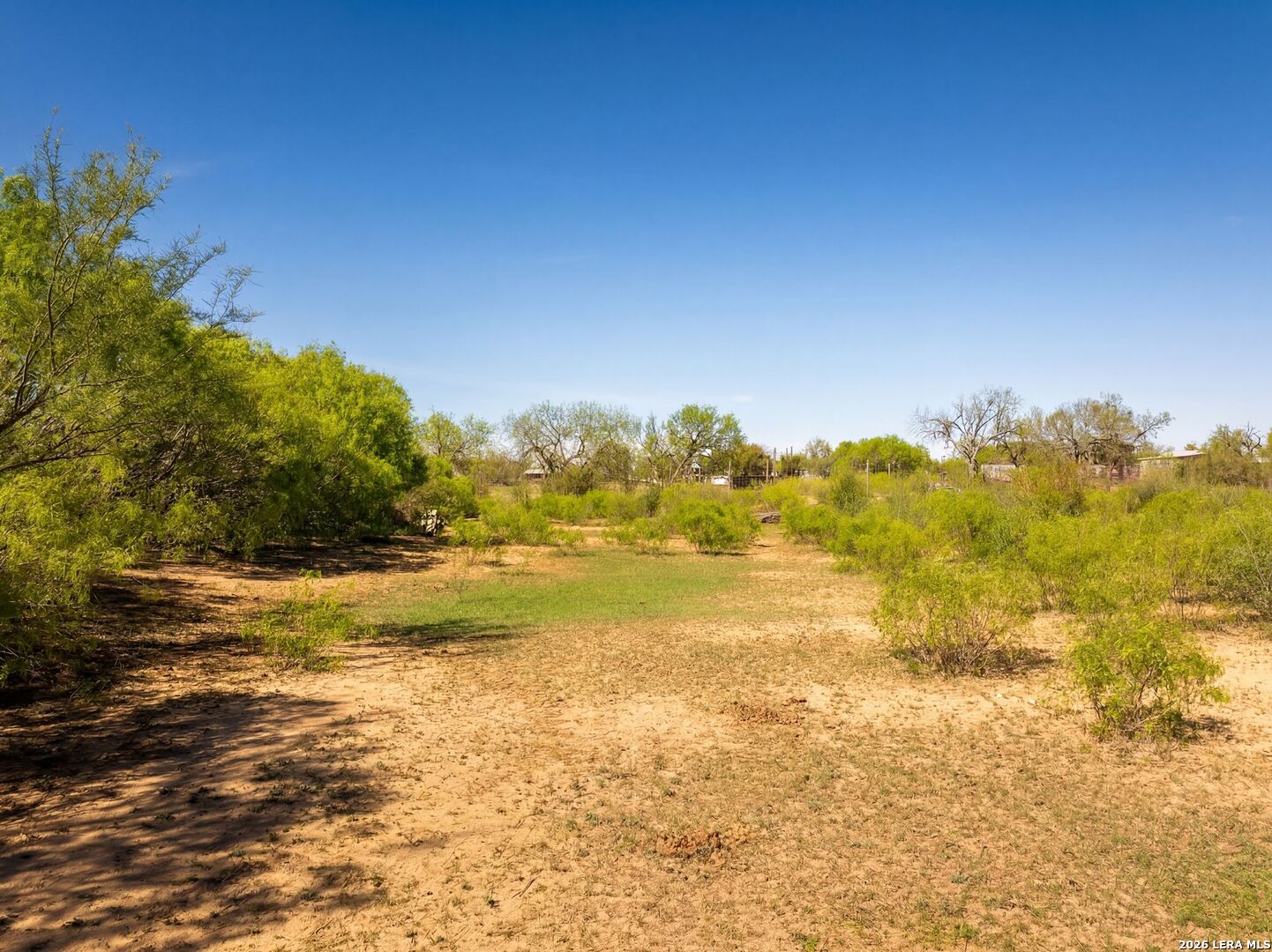 4246 Rakowitz Road Adkins TX 78101