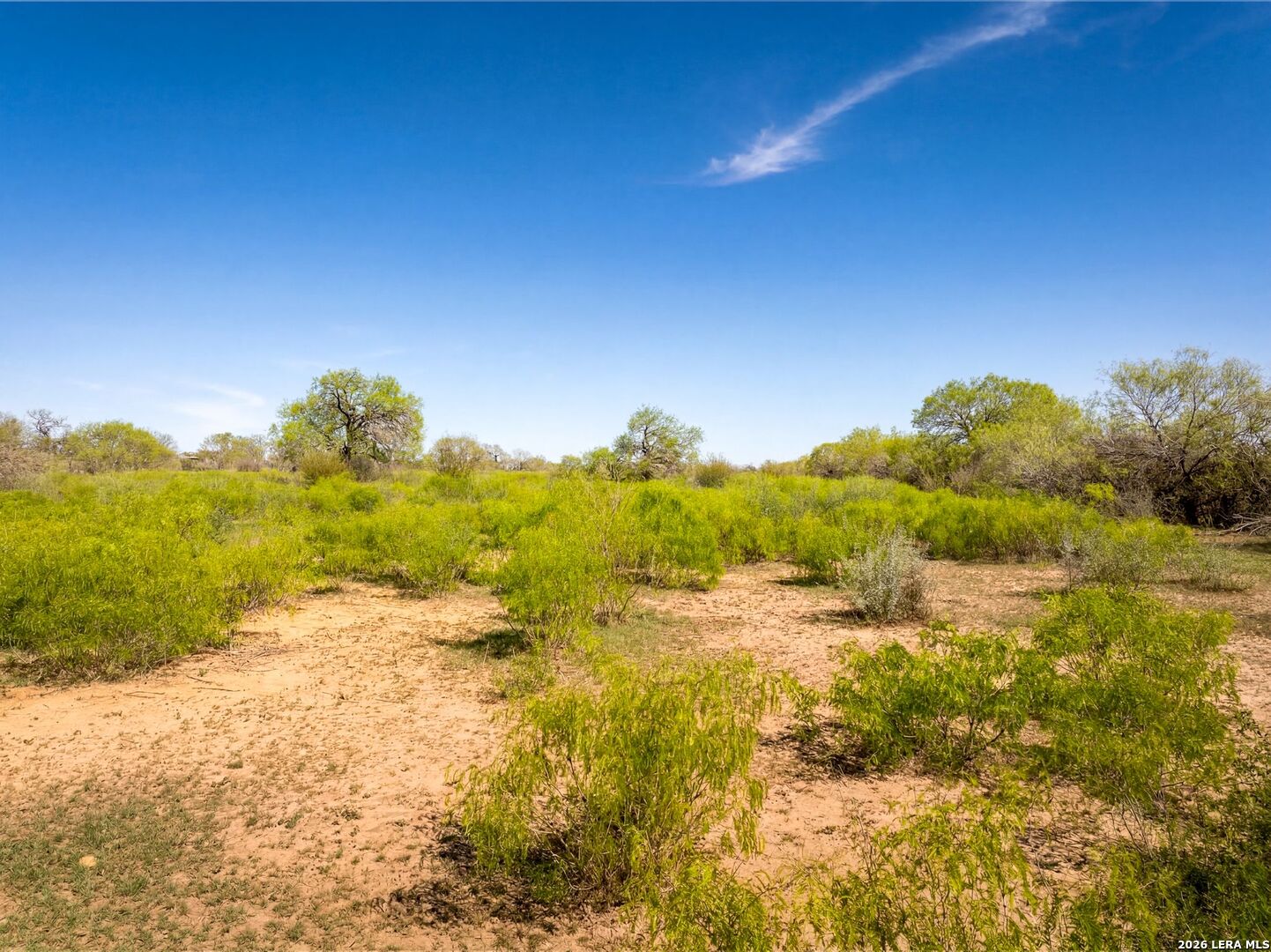 4246 Rakowitz Road Adkins TX 78101