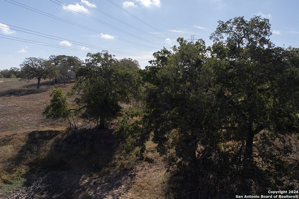 2991 Cr 442 Stockdale TX 78160