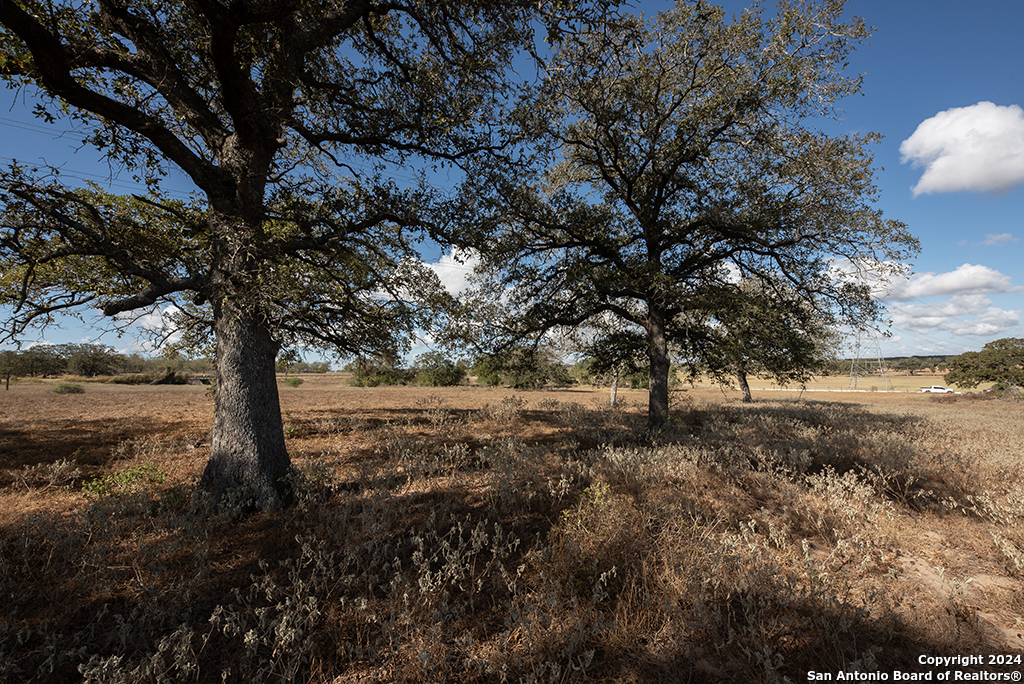 2991 Cr 442 Stockdale TX 78160