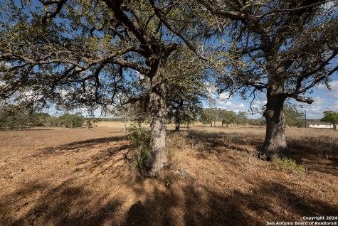 2991 Cr 442 Stockdale TX 78160