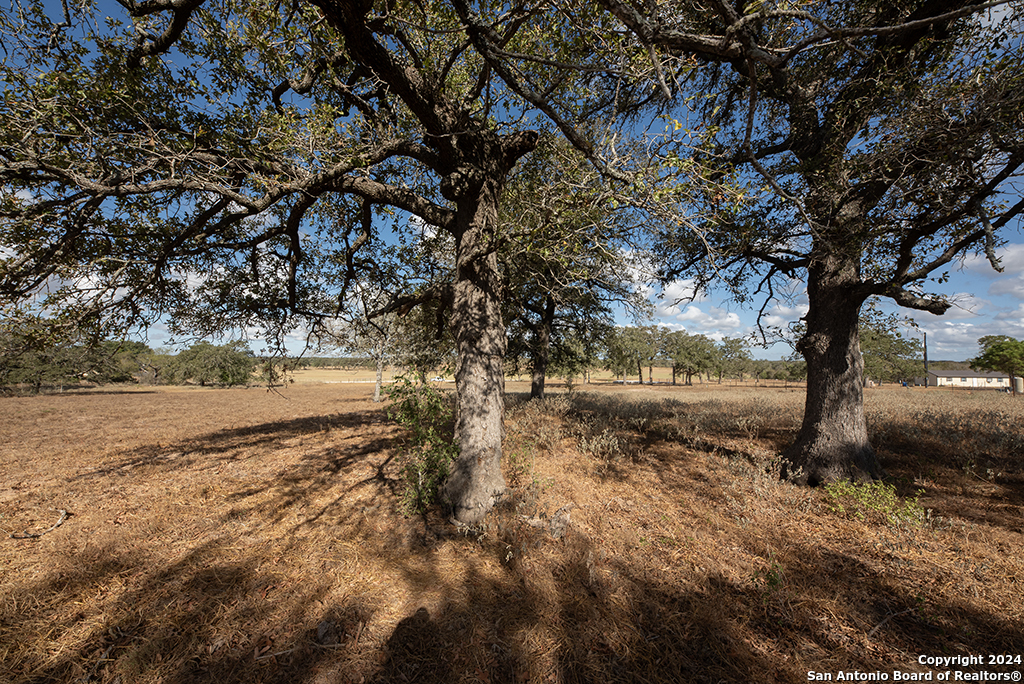 2991 Cr 442 Stockdale TX 78160