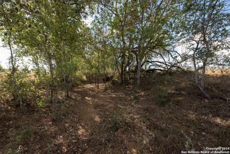 2991 Cr 442 Stockdale TX 78160