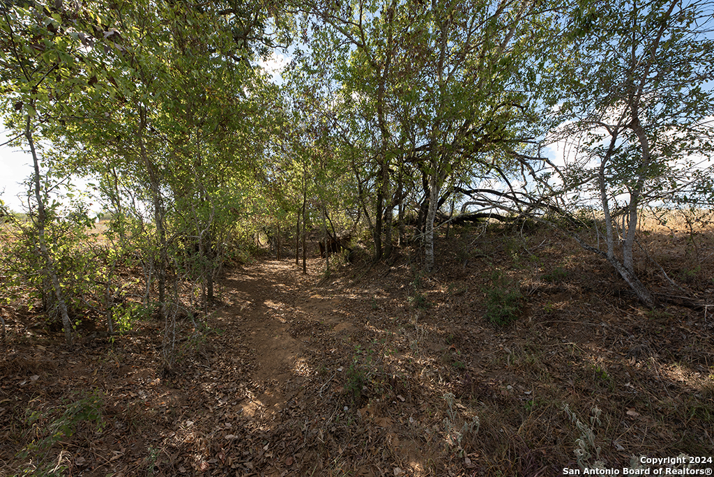 2991 Cr 442 Stockdale TX 78160