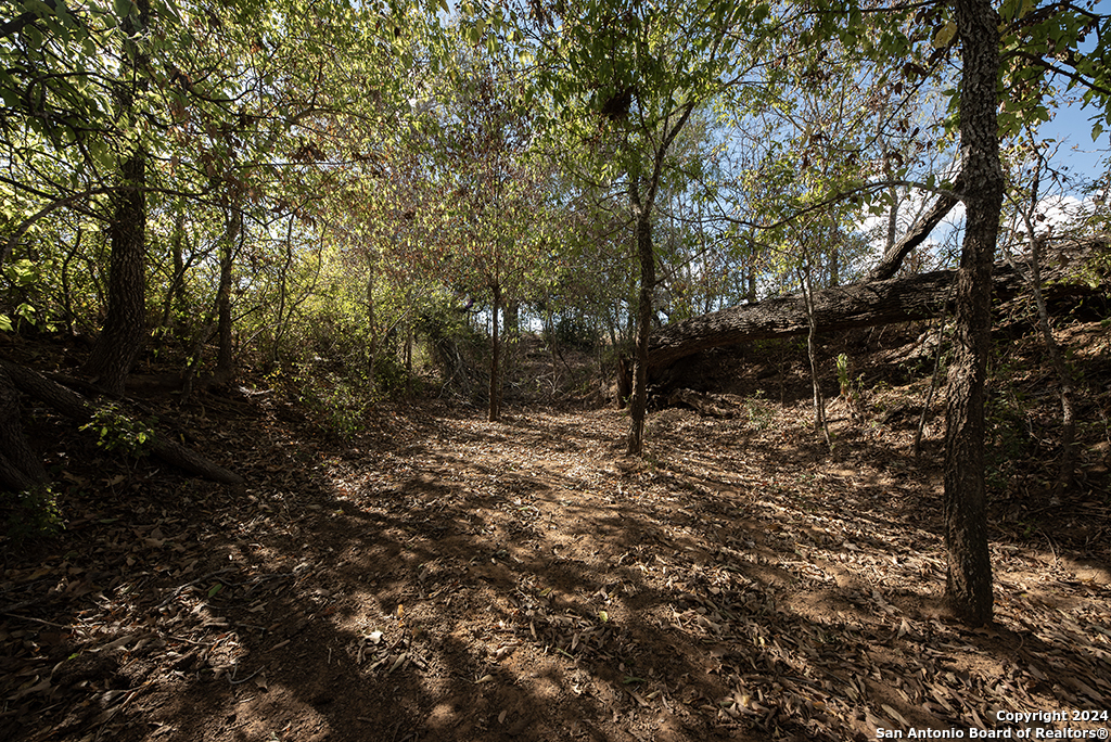 2991 Cr 442 Stockdale TX 78160