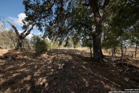 2991 Cr 442 Stockdale TX 78160