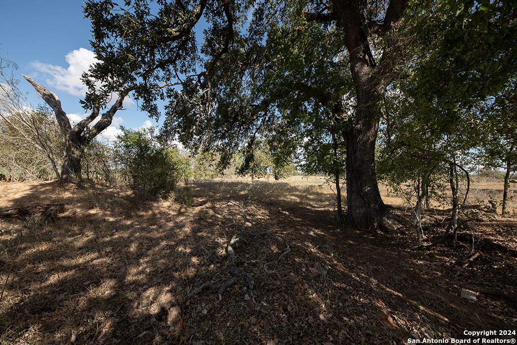 2991 Cr 442 Stockdale TX 78160