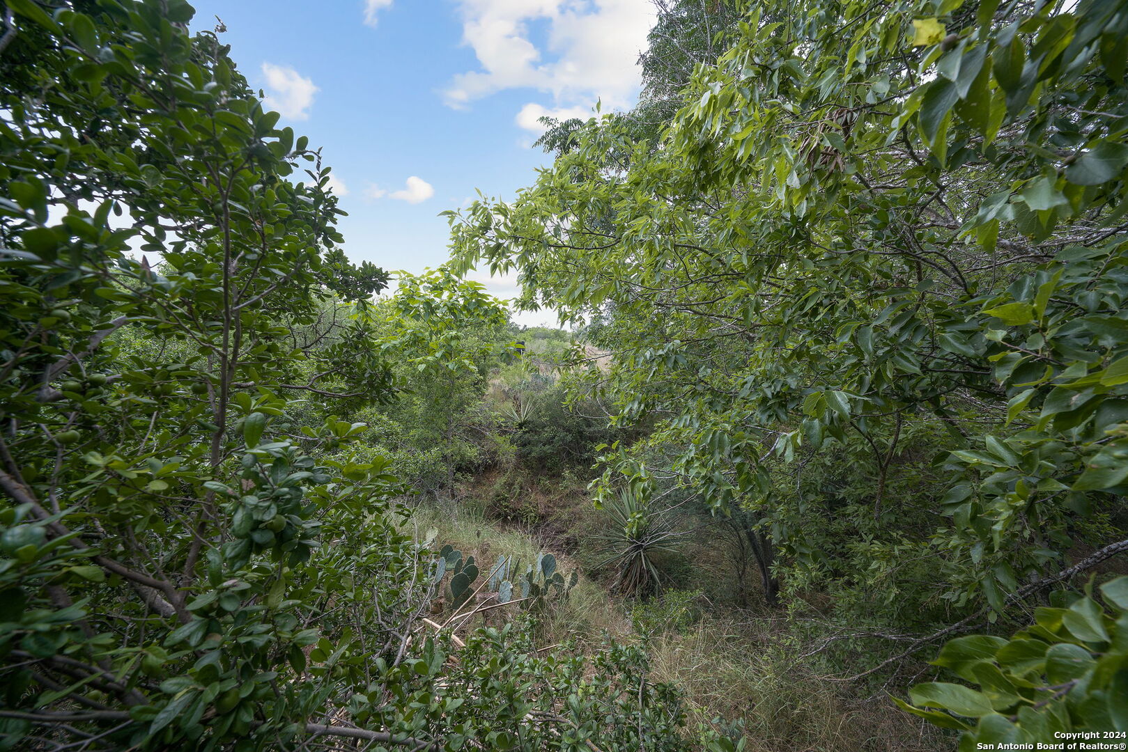 7507 New Sulphur Springs Road San Antonio TX 78263